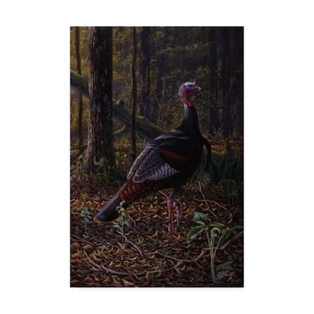 Wilhelm Goebel 'Ever Alert Wild Turkey' Canvas Art,16x24